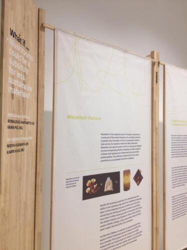 Portfolio Rina Renville